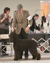 20140302-msda-0173