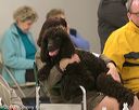 20140302-msda-0174
