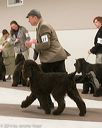 20140302-msda-0176