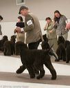 20140302-msda-0180
