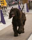 20140302-msda-0184