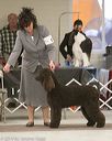 20140302-msda-0215