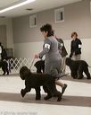 20140302-msda-0219