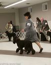 20140302-msda-0221