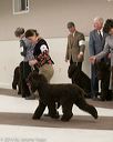 20140302-msda-0227