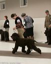 20140302-msda-0229