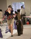 20140302-msda-0231