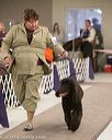 20140302-msda-0244