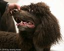 20140302-msda-0246