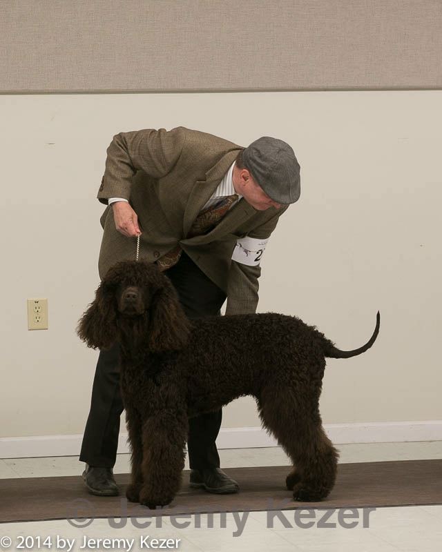 20140302-msda-0148.jpg