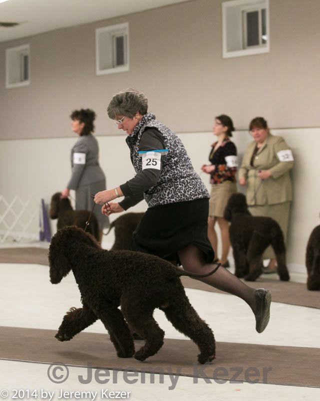 20140302-msda-0166.jpg
