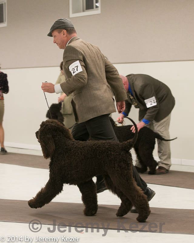 20140302-msda-0178.jpg