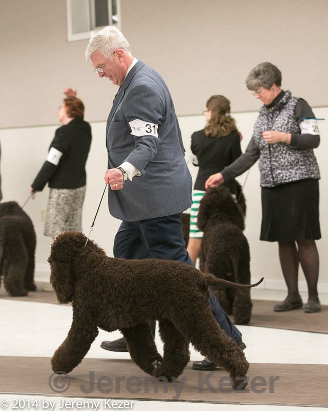 20140302-msda-0198.jpg