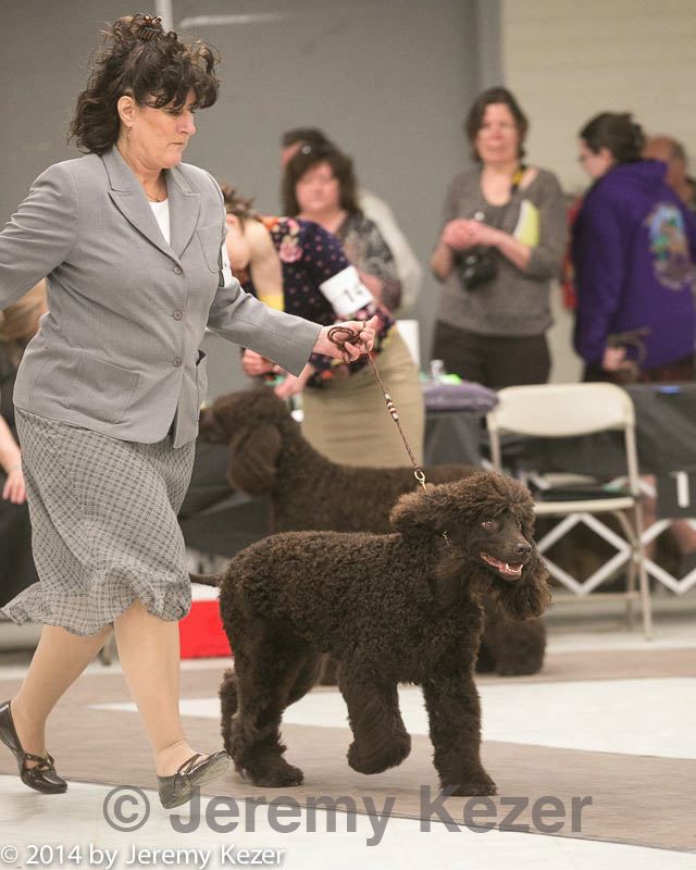 20140302-msda-0216.jpg
