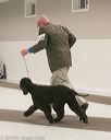 20140302-msda-0073