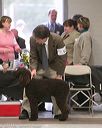 20140302-msda-0088