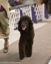 20140302-msda-0107