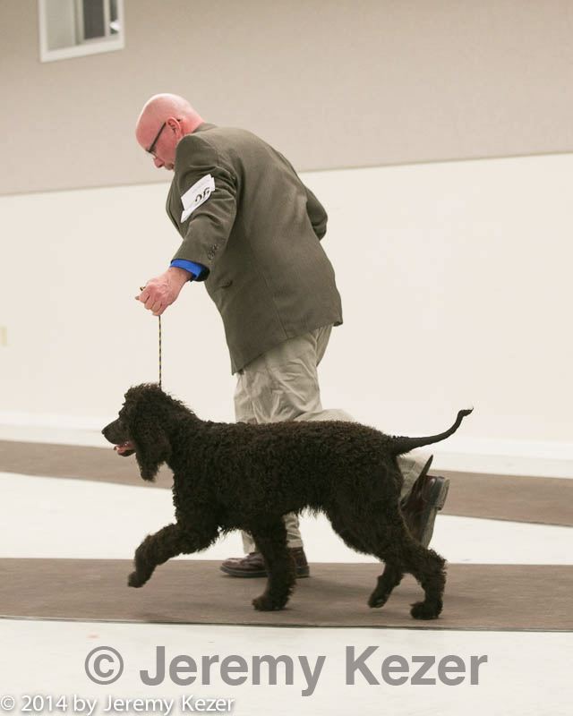 20140302-msda-0094.jpg