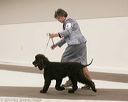 20140302-msda-0119