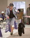 20140302-msda-0125