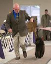 20140302-msda-0139