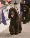20140302-msda-0004