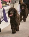 20140302-msda-0005