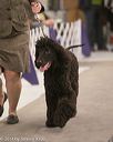 20140302-msda-0021