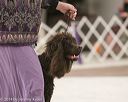 20140302-msda-0028
