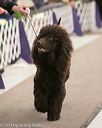 20140302-msda-0037