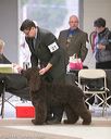 20140302-msda-0043