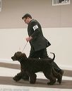 20140302-msda-0044