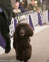 20140302-msda-0051