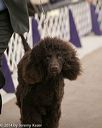 20140302-msda-0053