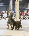20140316-nesda-0173