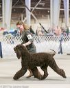 20140316-nesda-0180