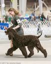 20140316-nesda-0182