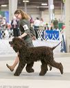 20140316-nesda-0185