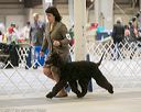 20140316-nesda-0071