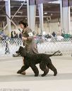 20140316-nesda-0080