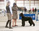 20140316-nesda-0095