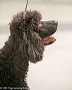 20140316-nesda-0105