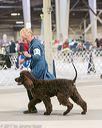 20140316-nesda-0119