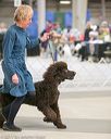 20140316-nesda-0124