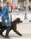 20140316-nesda-0126