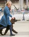 20140316-nesda-0127