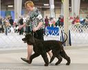 20140316-nesda-0132