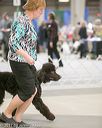 20140316-nesda-0138