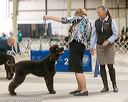 20140316-nesda-0142
