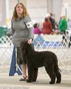 20140316-nesda-0143